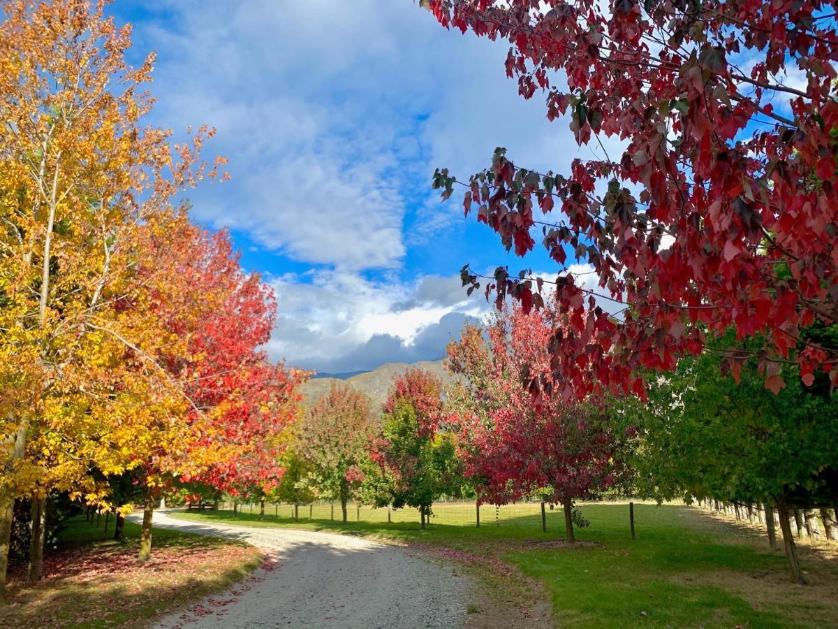Queenstown Country Lodge Lake Hayes Eksteriør bilde
